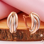 Boucles d'oreilles en or bicolore 585