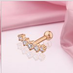 Goldpiercing Ohrpiercing 585 Rotgold Zirconia