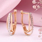 Gold earrings made of 585 gold bicolor