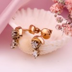 Ροζ χρυσά καρφωτά σκουλαρίκια με ζιργκόν