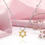 Strieborný náhrdelník s príveskom "Dávidova hviezda"