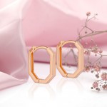 Ροζ χρυσά σκουλαρίκια "Modern"