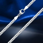 silver chain; -bracelet "Snake"