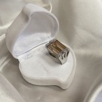 Stříbrný prsten "Exclusive". oxid zirkoničitý