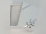 Kutija za prstenje i naušnice srebrne boje