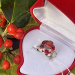 Silver ring "Maiami". Garnet & Cubic Zirconia