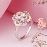 Silberring MIT Gold in Deutschland Kaufen Zirkonia