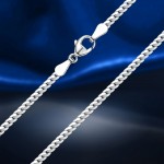 silver chain; -bracelet "Snake"