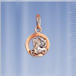 signo zodiacal capricornio bicolor