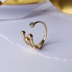 Anel de ouro elegante com formato especial