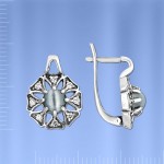 Earrings Silver & Uleksyt