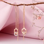 Goldohrringe hængend 585 Zirkonia